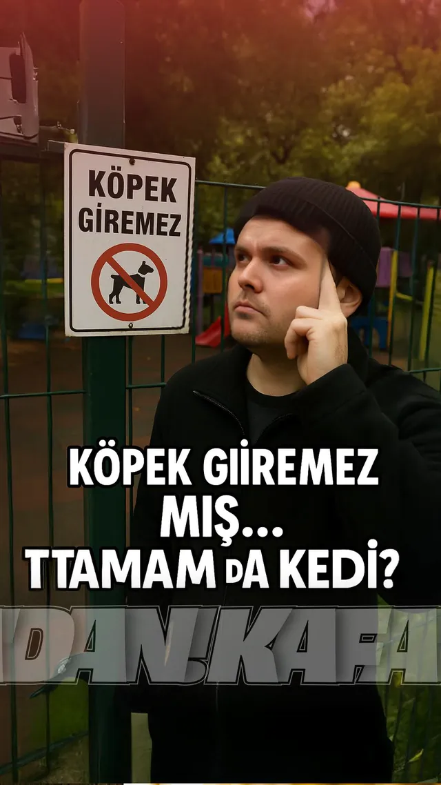 Köpek giremez mış, ttamam da kedi? Köpek giremez tabelası
