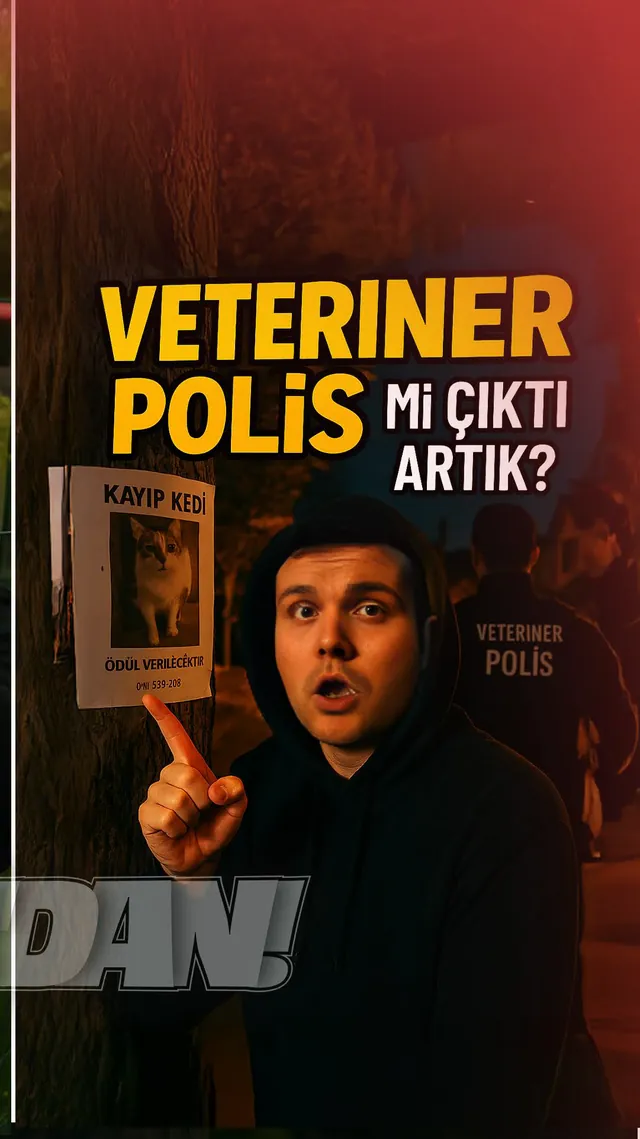 Veteriner polis mi çıktı artık? Kayıp kedi ilanı