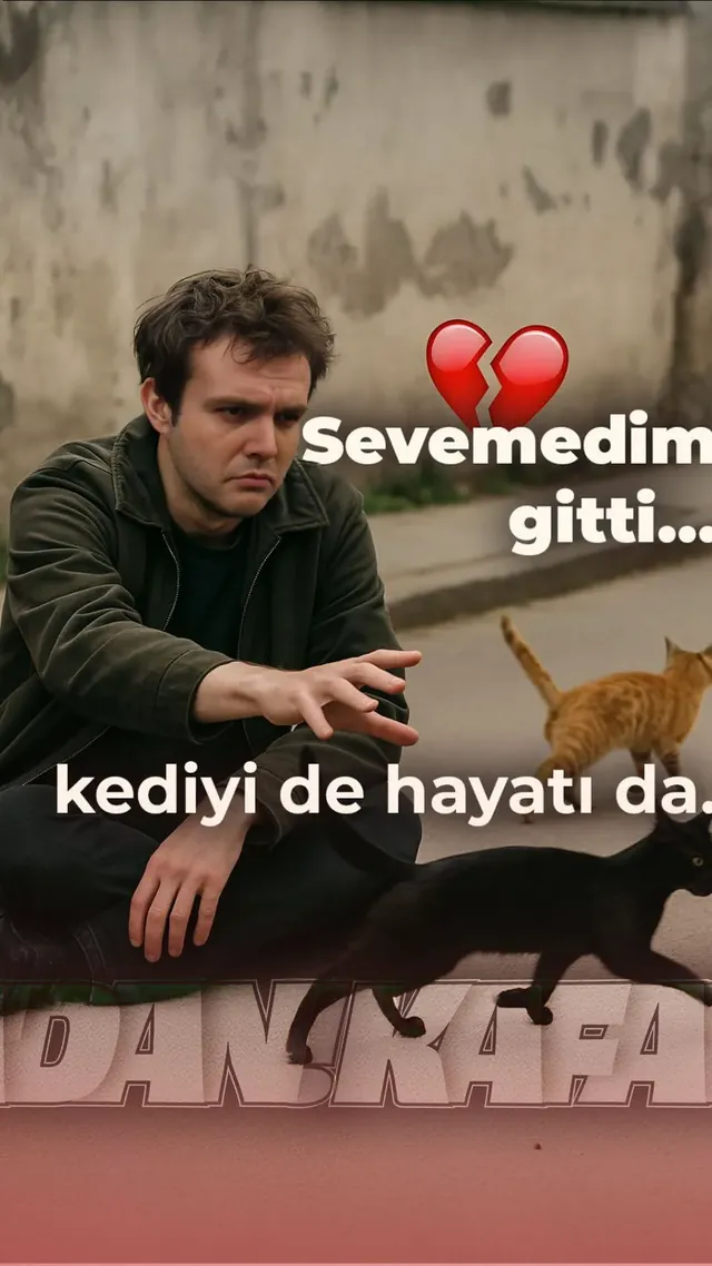 Sevemedim gitti, kediyi de hayatı da
